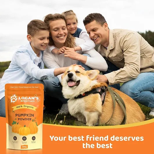 Pumpkin Powder Dog Supplement