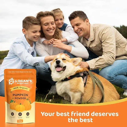 Pumpkin Powder Dog Supplement