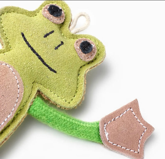 Francois le Frog Eco Dog Toy