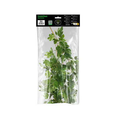 HabiStat Hanging Vine 60cm Foliage Decor - Hyphosis