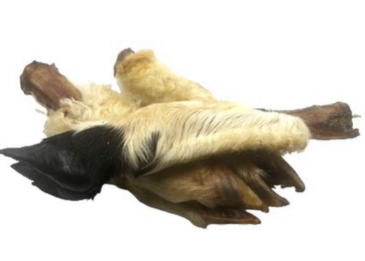 Hairy Lamb Trotter Natural Dog Treat
