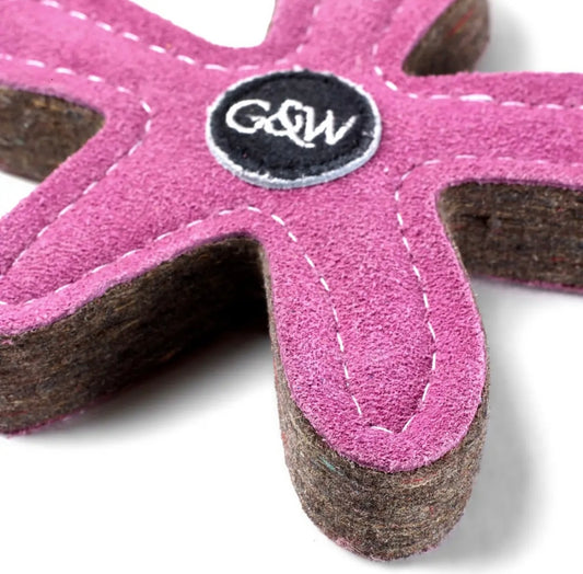 Stanley the Starfish Eco Dog Toy