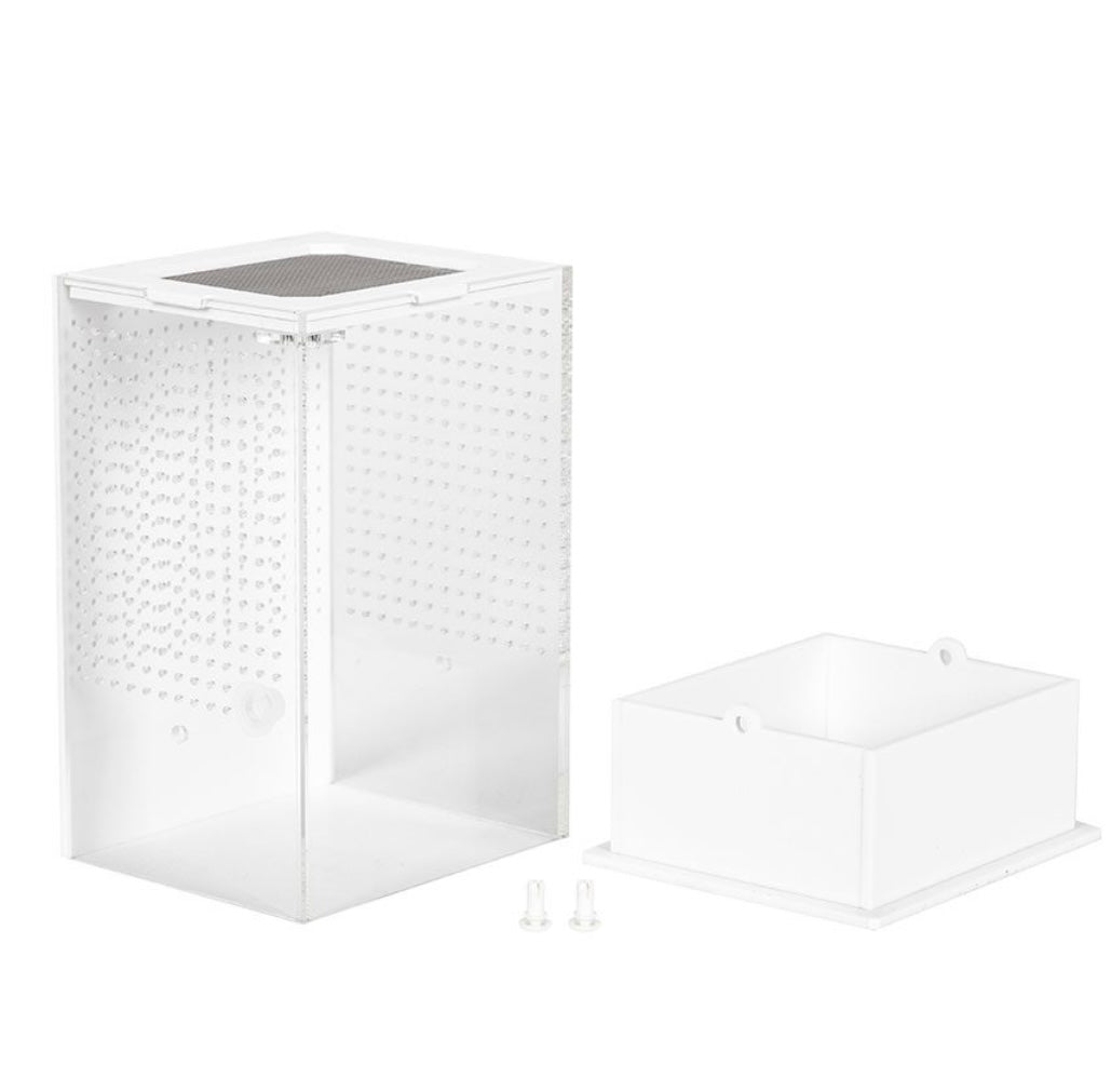 RZ Reptizoo White Base Insect Acrylic Box, 10×8.5x15cm Mantis Jumping Spider Inverts Insects