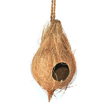 Hanging Coconut Aboreal Hide Geckos Decor Rope
