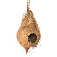 Load image into Gallery viewer, Hanging Coconut Aboreal Hide
