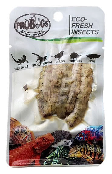 Eco Fresh Silkworm