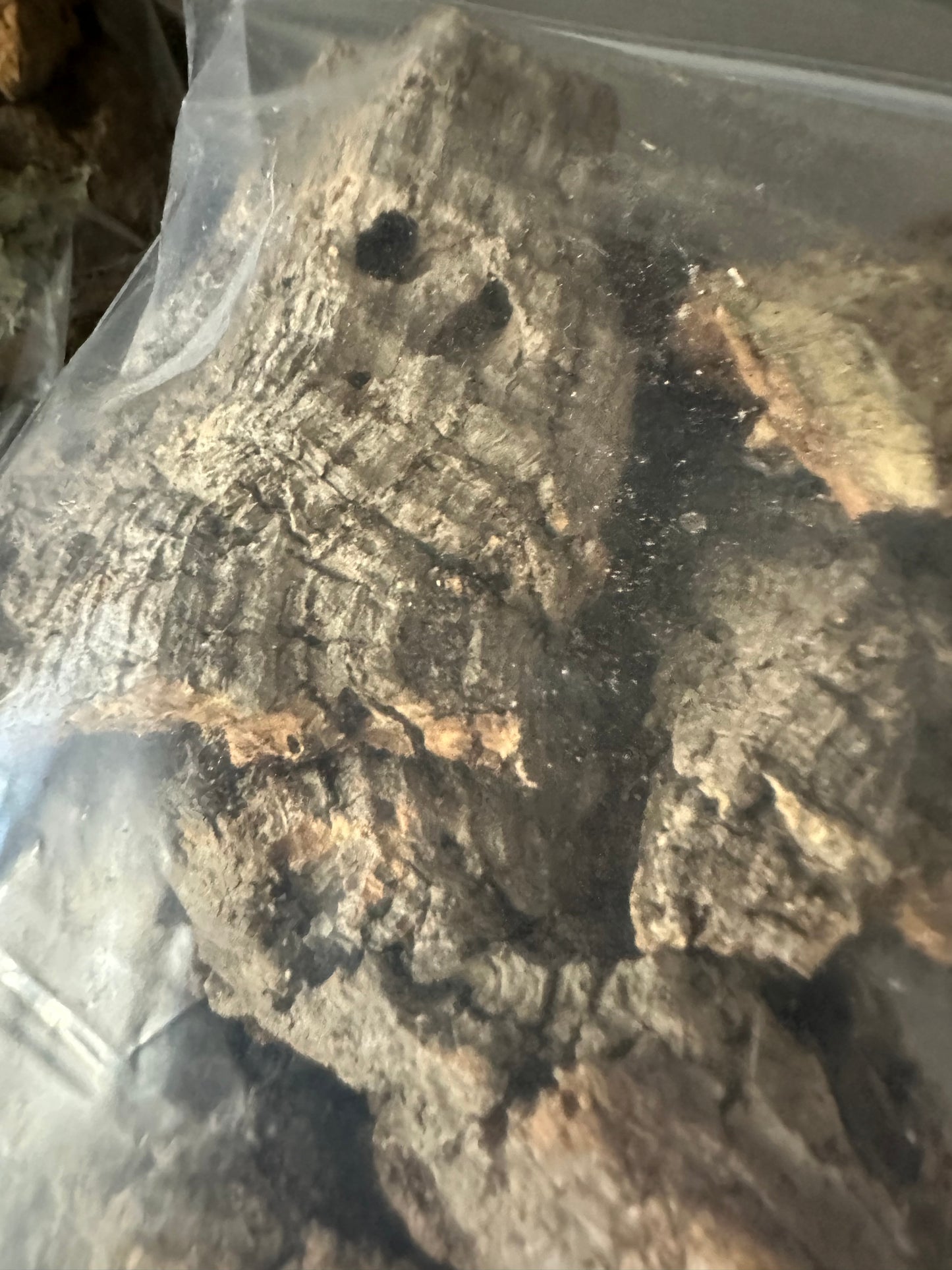 Cork Pieces Starter Bags