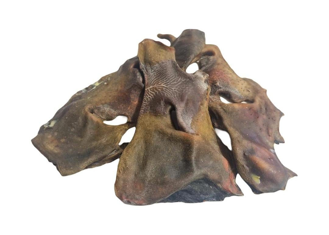 XL Bully Snout Cow Nose Natural Dog Treat