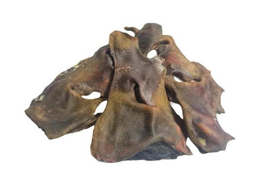 XL Bully Snout Cow Nose Natural Dog Treat
