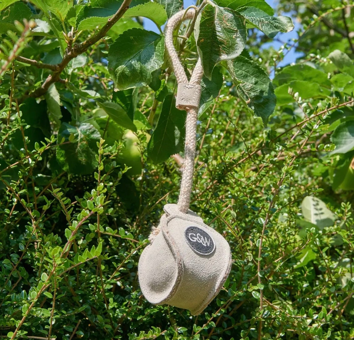 Chuck It Eco Dog Toy