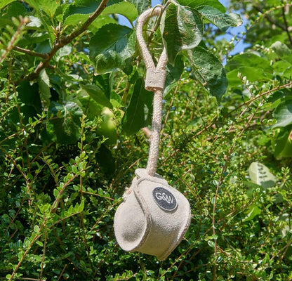 Chuck It Eco Dog Toy