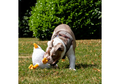 Dog Toy Made From Recycled Material Seagull Plush