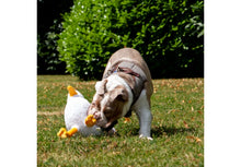 Load image into Gallery viewer, Dog Toy Made From Recycled Material Seagull Plush
