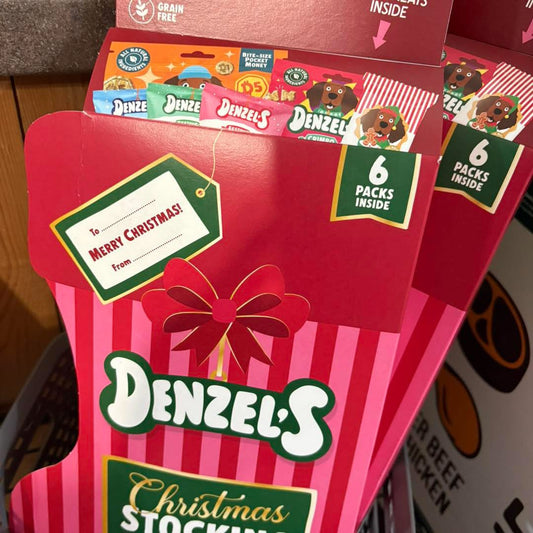 Denzel Christmas Stocking Dog Treats