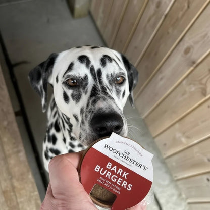 Sir Woofchester Bark Burgers
Treat Pot Mini Cheese Burgers Dog