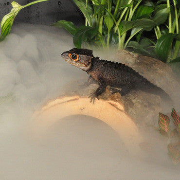 Habistat Humidifiers