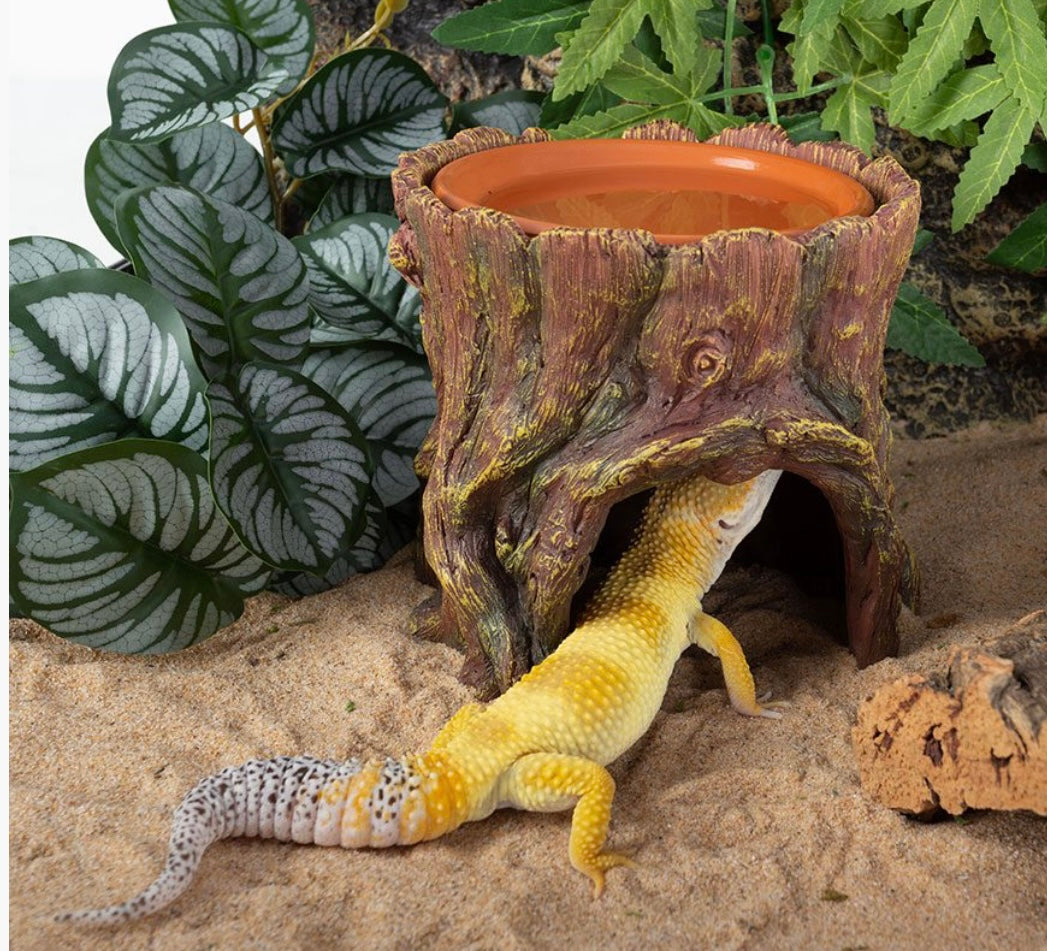 Reptizoo Resin Hide and Bowl Decor Gecko