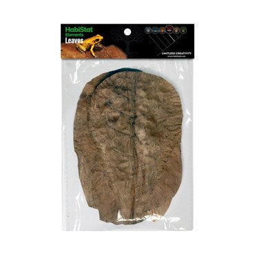 Habistat Catappa Leaves pack of Leaf Litter - Bioactive Enclosures, Isopods, Millipedes