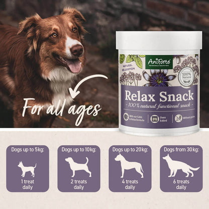 Aniforte Relax Snack Dogs Tub 300g
