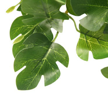 HabiStat Hanging Vine 60cm Foliage Decor - Hyphosis