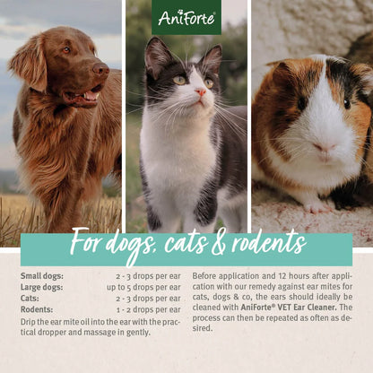 Ear Mite Treatment Dog Cat Small Animal