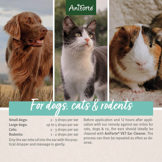 Ear Mite Treatment Dog Cat Small Animal