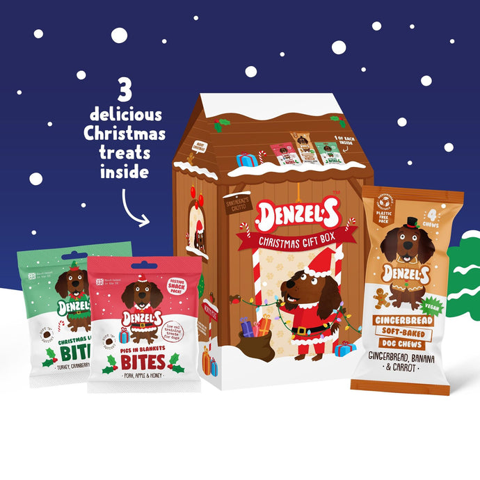 Denzels Christmas Grotto Gift Box for Dogs 175g