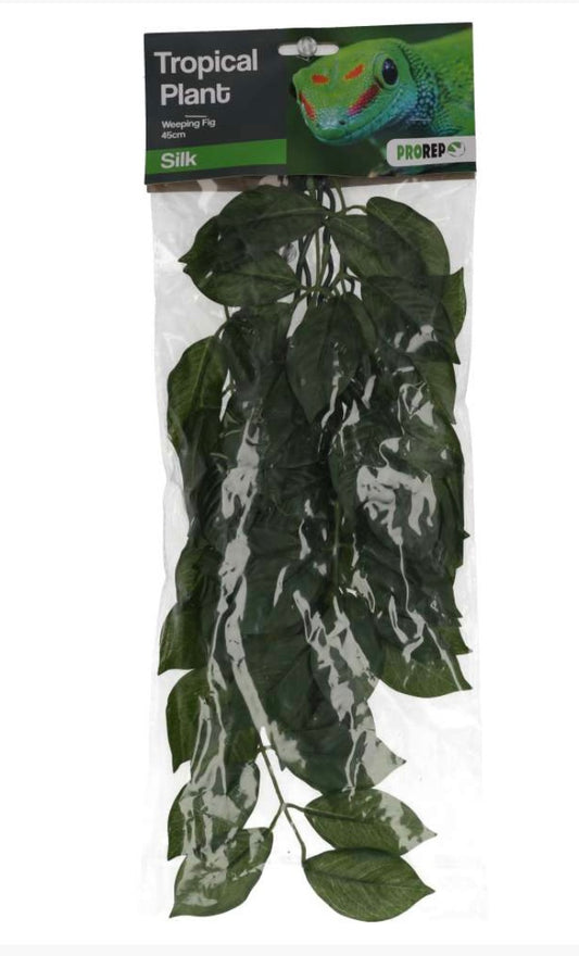 Pro Rep Silk Hanging Plant Weeping Fig 45cm