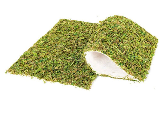 Repti Zoo RZ Natural Moss Mat, 30x20cm, Pack of 2