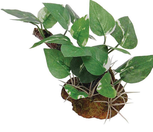 RepStyle Vivarium Plant and Rock Decor