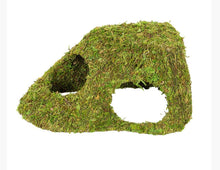 Load image into Gallery viewer, Repti Zoo RZ Natural Moss Dome, Xlarge, 25.5x14x11.5cm
