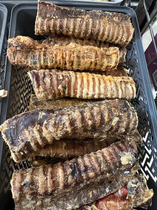 Collagen Filled Trachea Natural Dog Treat Enrichment