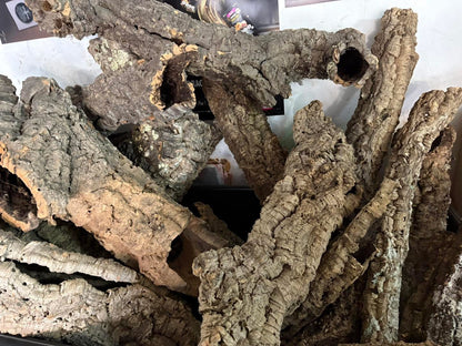 Cork Bark Tubes Bulk Amounts Bundles 1kg or 5kg Options Enrichment Reptiles Inverts Small Animals Natural