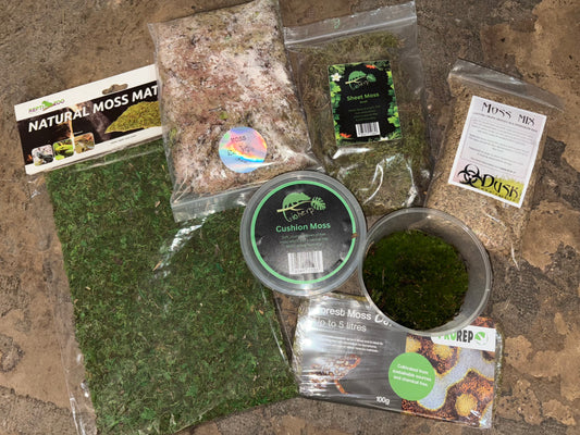 Cushion Moss Tub Live Natural Decor