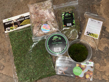 Load image into Gallery viewer, Cushion Moss Tub Live Natural Decor
