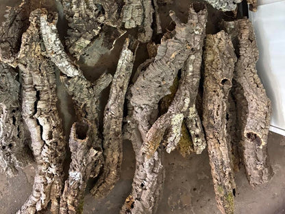 Cork Bark Tubes Bulk Amounts Bundles 1kg or 5kg Options Enrichment Reptiles Inverts Small Animals Natural
