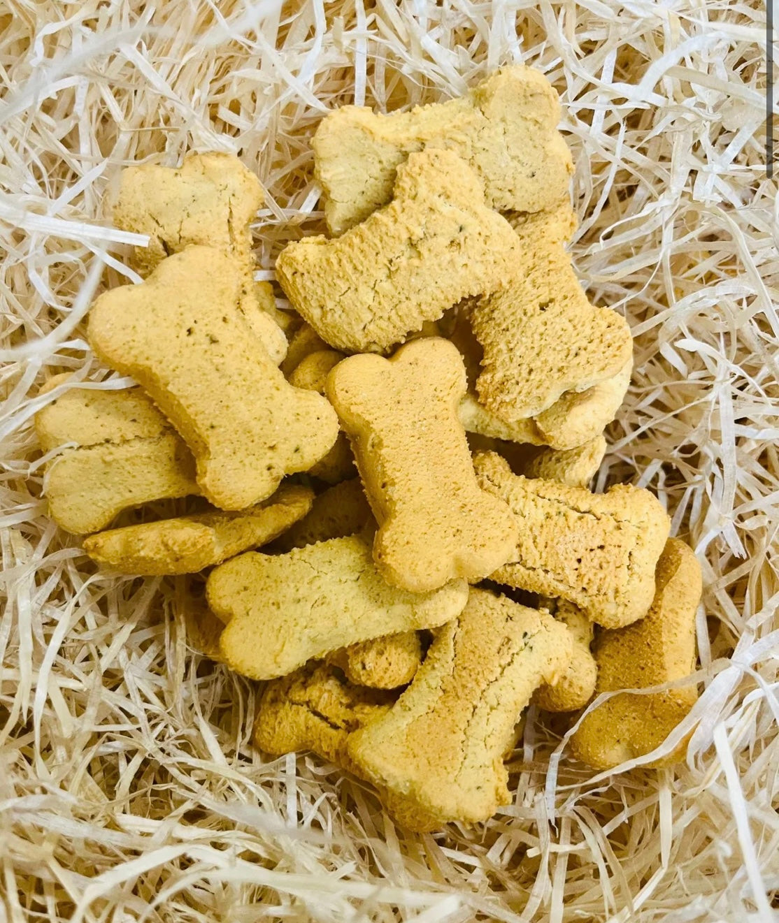 Life of Riley Bedtime Biccies 100g Grain Free Dog Treats