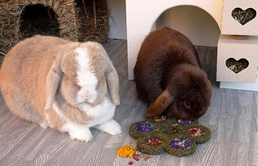 Flower and Forage Blossom Small Animal Chew Treat