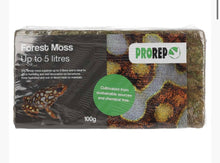 Load image into Gallery viewer, Pro Rep Forest Moss Brick 100g
