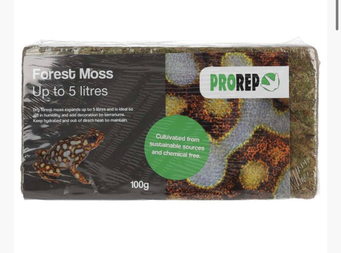 Pro Rep Forest Moss Brick 100g