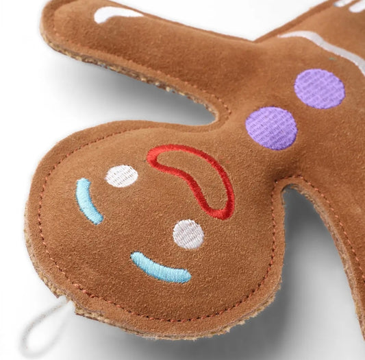 Jean the Genie Gingerbread Eco Dog Toy