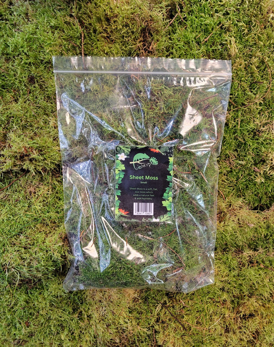 Sheet Moss Bioactive Decor Substrate Live Small Bag