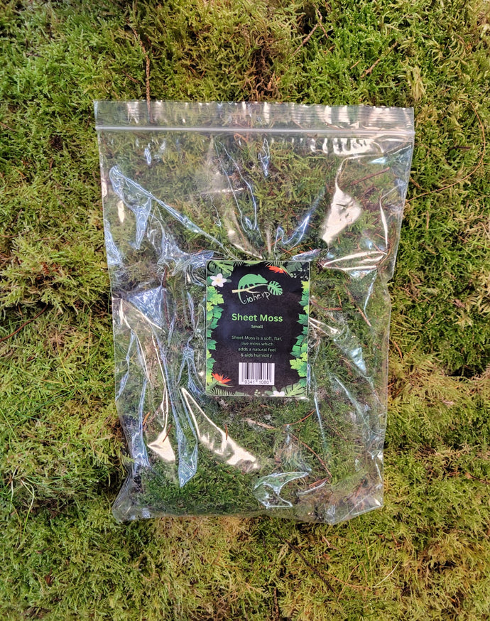 Sheet Moss Bioactive Decor Substrate Live Small Bag