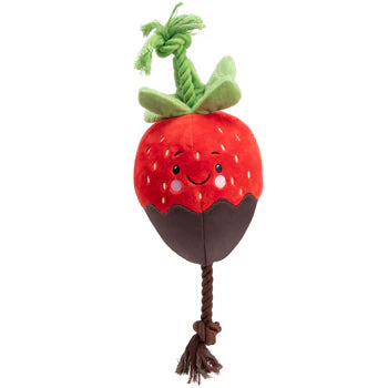 Strawberry Dipped Rope Dog Toy