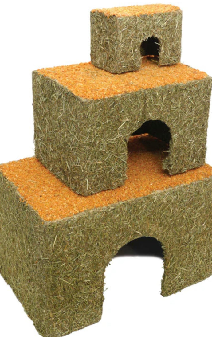 Carrot Cottage Small Animal Hide Chew