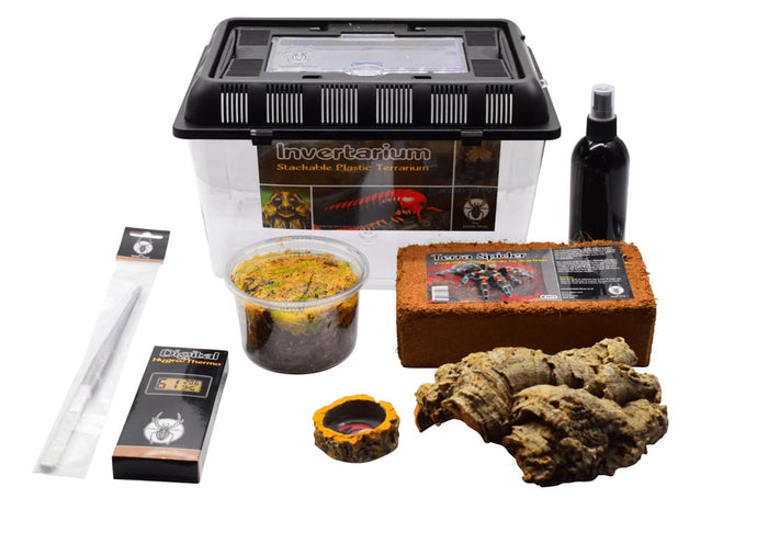 Forest Scorpion Starter Kit Enclosure Accessories