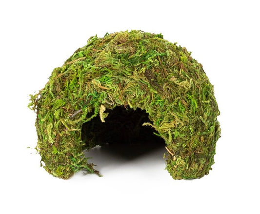 Repti Zoo RZ Natural Moss Dome, Small, 11x11x9cm
