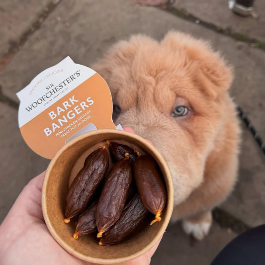 Sir Woofchester Bark Bangers Treat Pot Mini Chicken Sausage Dog