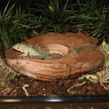 Habistat Coco Bowl