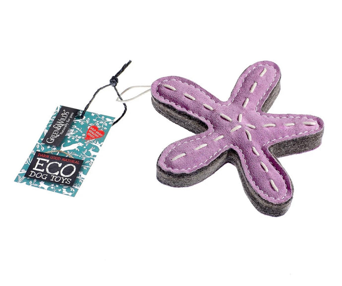 Stanley the Starfish Eco Dog Toy